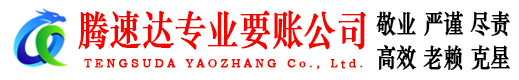 洪湖腾速达清债公司